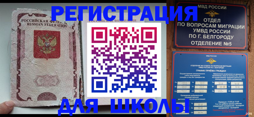 прописка гарантия в Волоколамске